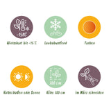 Green boutiQ - Terrasplant - Japanse Esdoorn - Acer palmatum Katsura - Oranje - 2 Planten - Bladverliezend - Pot 19cm Hoogte 70cm