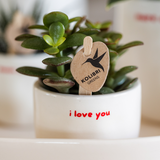 Coffret Love You - orchidée Congo rouge et plante verte en cache-pots