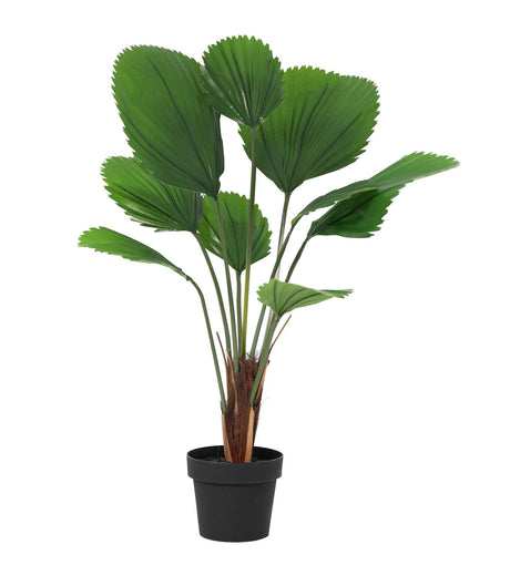 Licuala Grandis Palmier plante artificielle