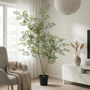 Bucida plante artificielle