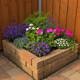 Kit de vivaces couvre-sol en mélange - H 15-25 cm, pot Ø11 cm - photo 4