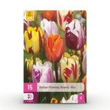 Green boutiQ - Bloembollen - Tulp Flaming Beauty mix - Diversen Kleuren - 15 stuks - Bolmaat 11/12 - XXL Pack