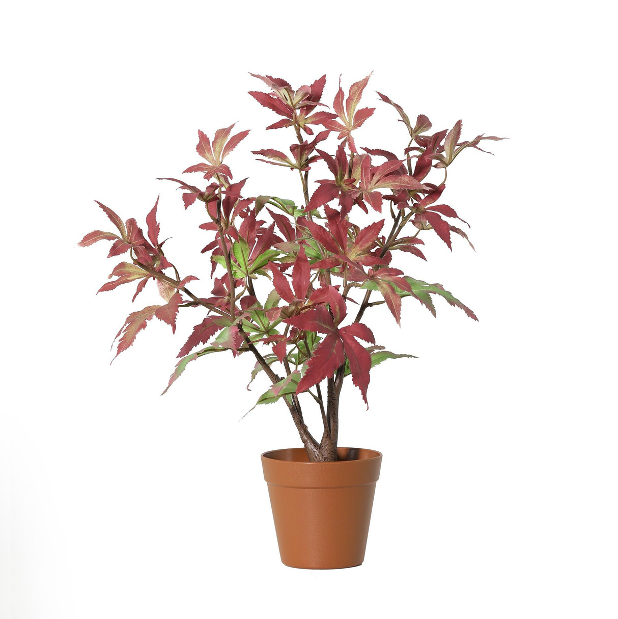 Érable plante artificielle