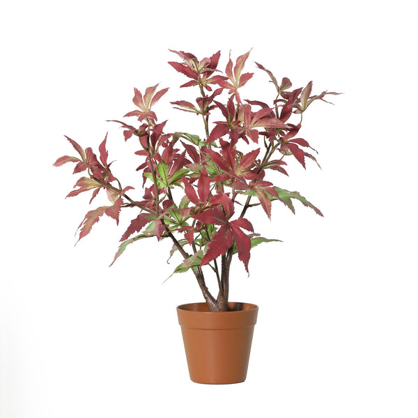 Érable plante artificielle
