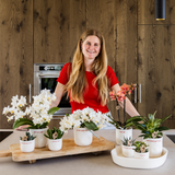 Coffret Love You - orchidée Congo rouge et plante verte en cache-pots