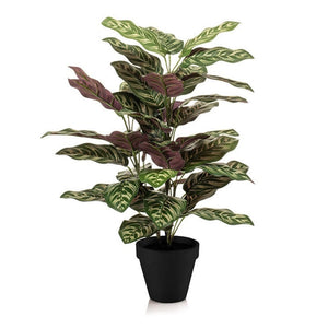 Calathea makoyana artificiel en pot h65cm