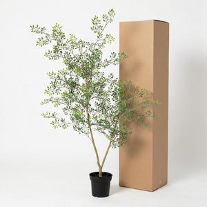 Bucida plante artificielle