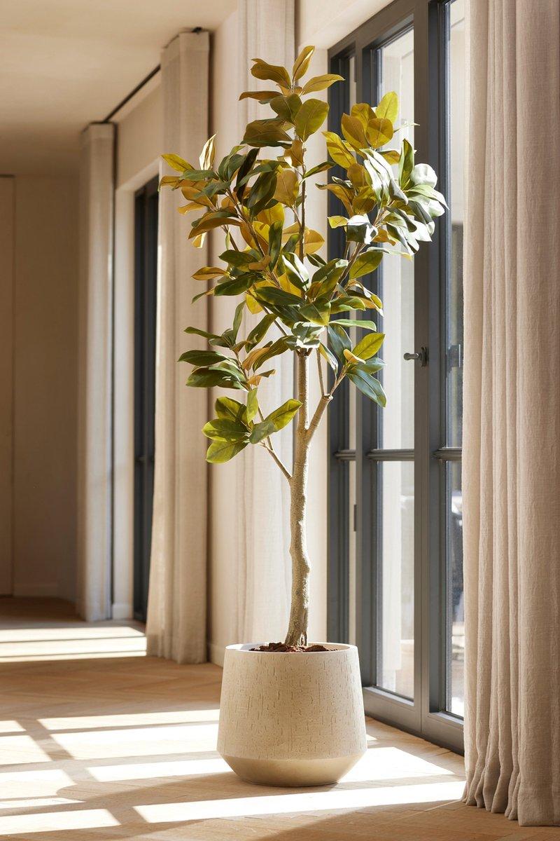Magnolia artificiel h150cm