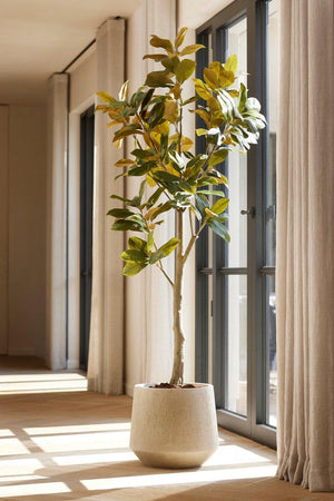 Magnolia artificiel h150cm