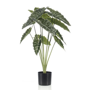 Alocasia artificiel h80cm