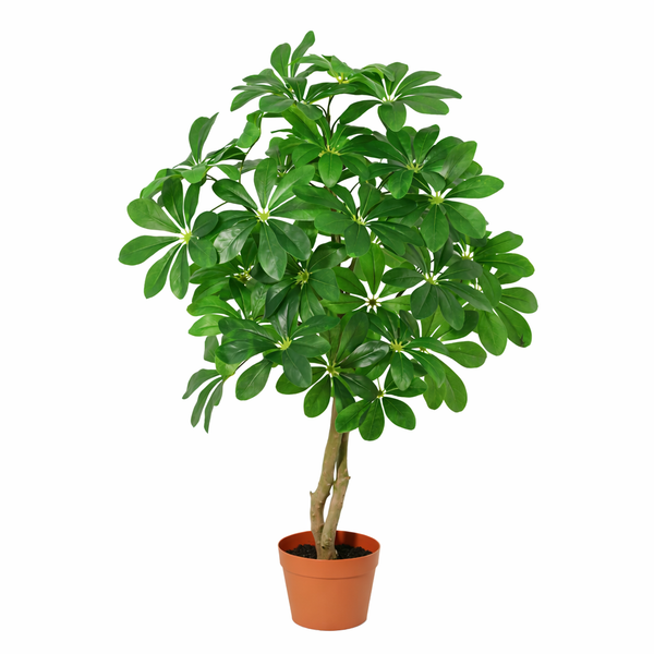 Schefflera Arboricola plante artificielle
