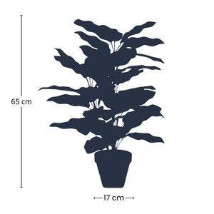 Calathea makoyana artificiel en pot h65cm