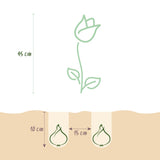 Green boutiQ - Bloembollen - Tulp Macron mix - Diversen Kleuren - 12 stuks - Bolmaat 11/12 - XXL Pack