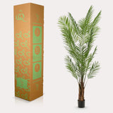 Piante d'arte - Areca Lutescens - Goudpalm - 240cm