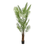 Piante d'arte - Areca Lutescens - Goudpalm - 240cm