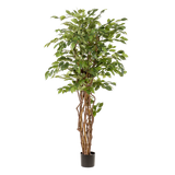 Ficus Liana artificiel h170cm