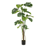 Monstera artificiel h180cm