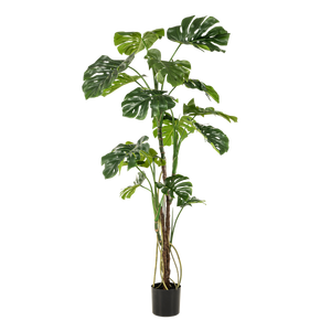 Monstera artificiel h180cm