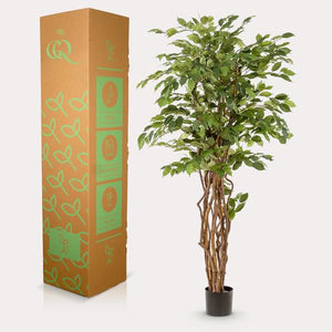 Ficus Liana artificiel h170cm