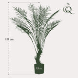 Pianta d'arte - Boomvaren - x15 -1 25cm
