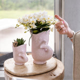 Orchidee Kolibri | Orchidea phalaenopsis bianca - Nazaré - vaso Ø9cm | bloeiende kamerplant - vers van de kweker