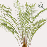 Pianta d'arte - Boomvaren - x15 -1 25cm