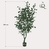 Kunstplant - Eucalipto - Gomboom blu - 140cm - 140
