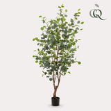 Kunstplant - Eucalipto - Gomboom blu - 140cm - 140